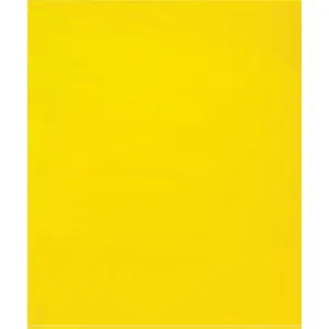 15 x 18" - 2 Mil Yellow Flat Poly Bags